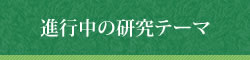 進行中の研究テーマ